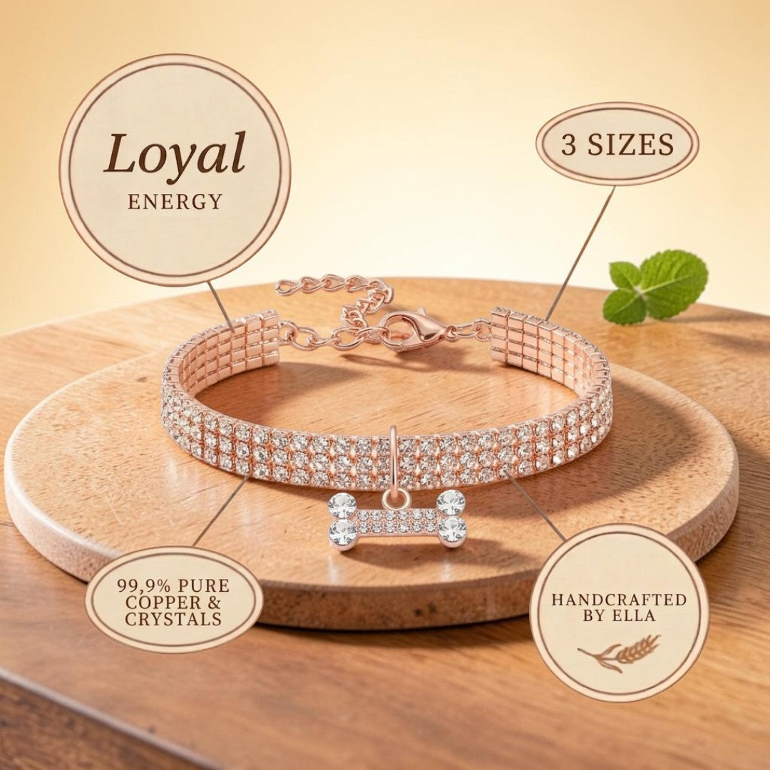 Mary's Loyal Copper Dog Collar