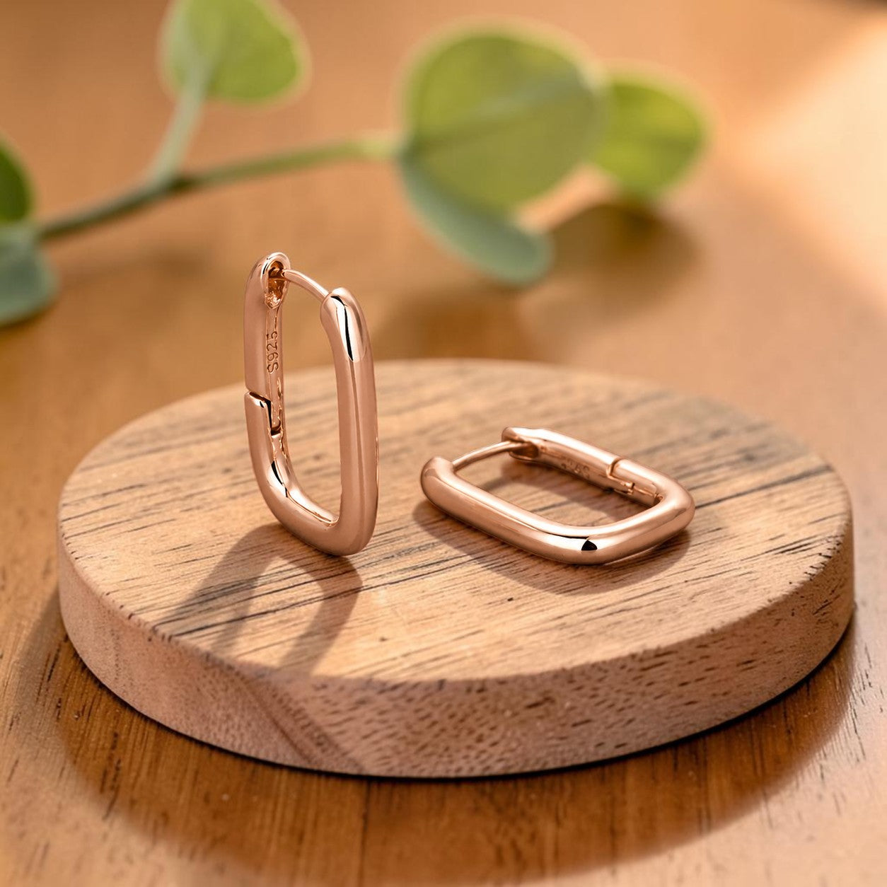 Mary's Clasp Copper Earrings