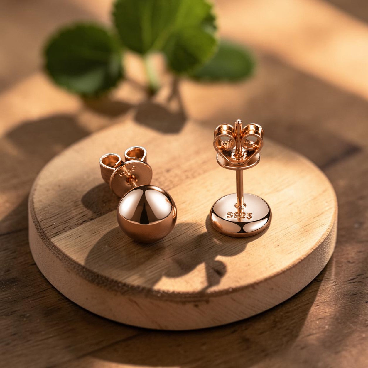 Mary's Dome Copper Earrings