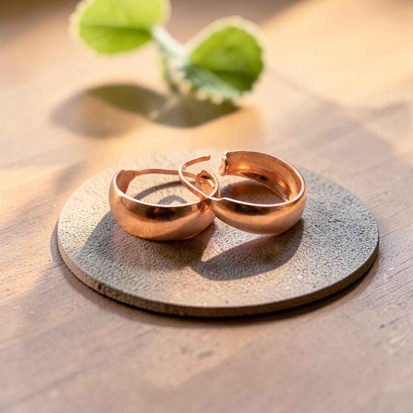 Mary's Dell Copper Earrings